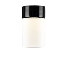 Tak- och vägglampa Opus 100/175 svart, matt opal LED 8W 3000K
