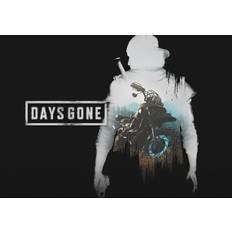 Days Gone (PC) Steam Key - TURKEY