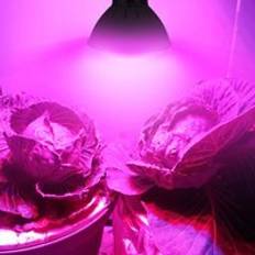 E27 200 led växande ljus hydroponisk belysning med klämma växter lampor för växt blomma grönsaksodling inomhus växthus /15