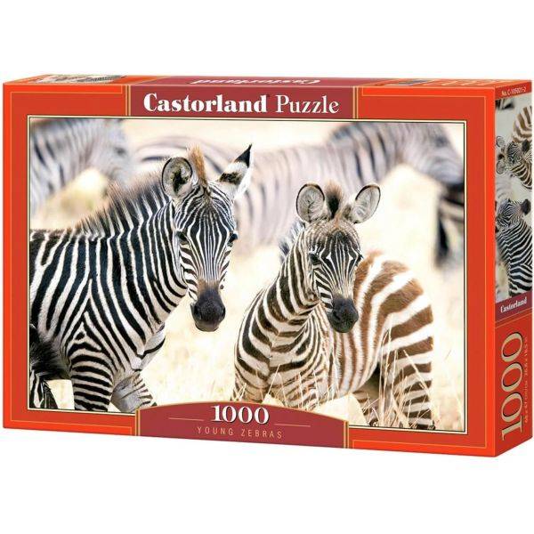 Castorland Puslespil 1000 brikker Young Zebras
