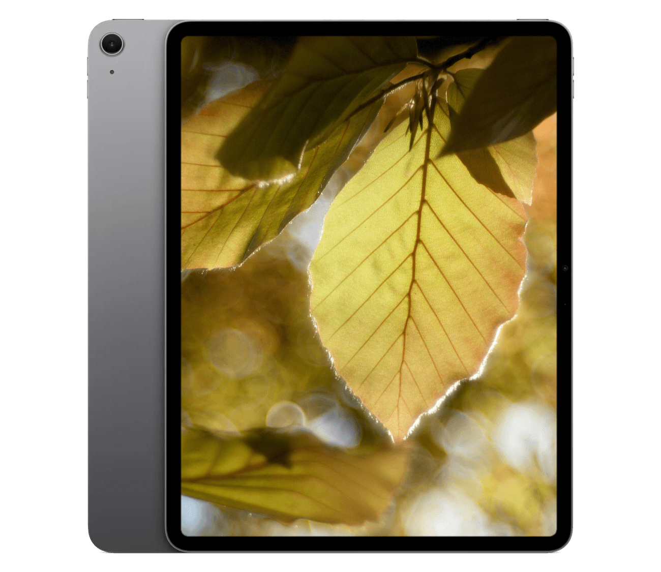 iPad Air M4 (2026) 13" WiFi + 5G
