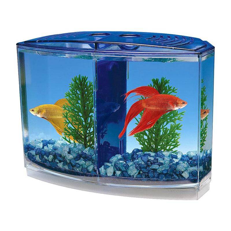 Stor Dubbelfack Kampfisklåda Eco Rumble Fish Akvarium Miniakvarium Plast Isoleringslåda Yngelkasse blå