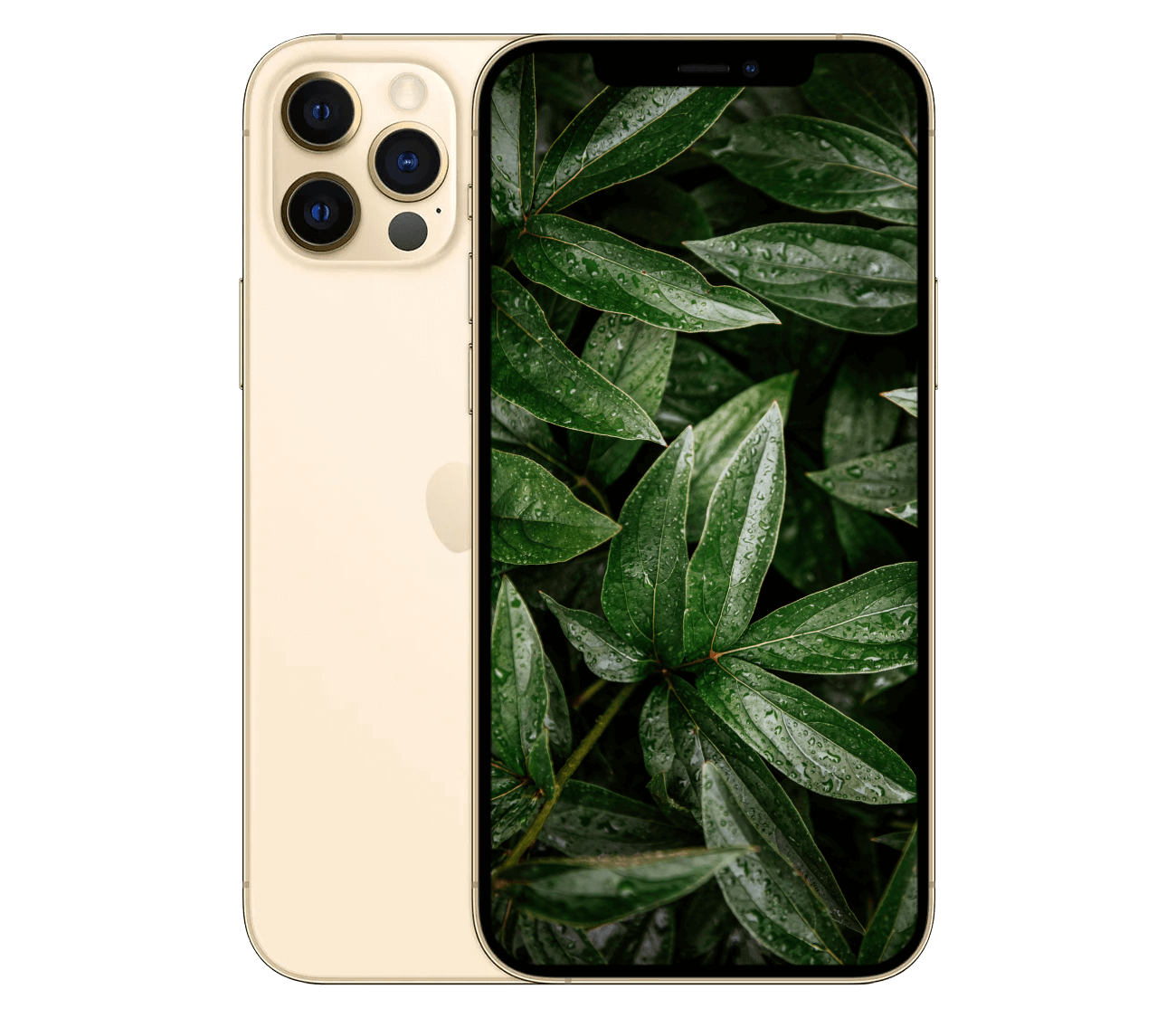 iPhone 12 Pro