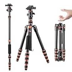 K&F Concept Kamerastativ, Lätt Resestativ i Kolfiber, Kompakt Stativ för Fotografering med Enbensstativ, 360° Kulhuvud och Utlösningsplatta för DSLR Kamera C225C0+BH-25(BA225)