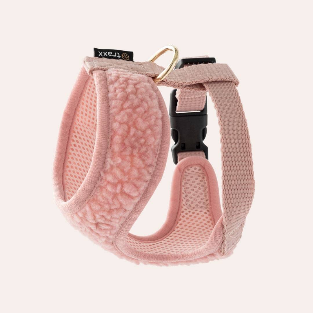 Hundsele Tezz traxx® Rosa