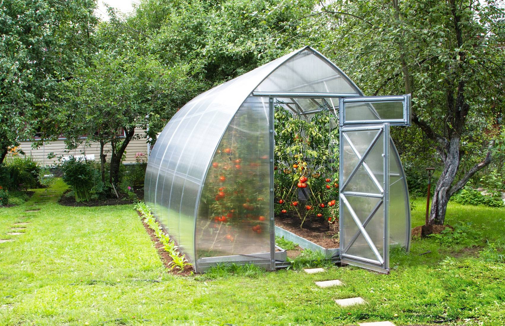 Tunnelväxthus Arrow - Stålväxthus 6 - 30 m² 18 m² 4 mm polykarbonat
