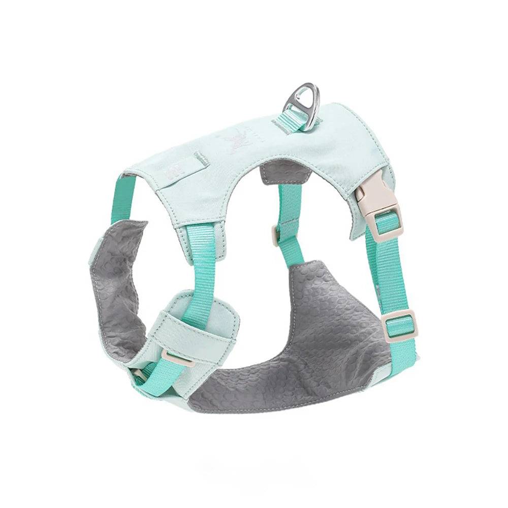 Anti-Pull Escape-Proof Dog Harness & Leash Set | Lightweight | XS–XL | 14 Colours - Mint Green / S (S)