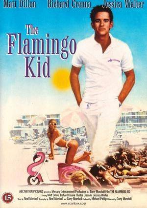 DVD - Flamingo Kid (Matt Damon) (Beg)