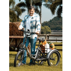 Fafrees F20 Mate Upgrade Electric Bike Folding Cargo Trike 48V 21Ah or 23.45Ah 20 Inch All-terrain