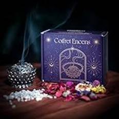 Naturlig oliban rökelse set - 100 g Boswellia Serrata rökelse, rökelse och tång i rostfritt stål - perfekt för rening och meditation (100 g oliban rökelse)