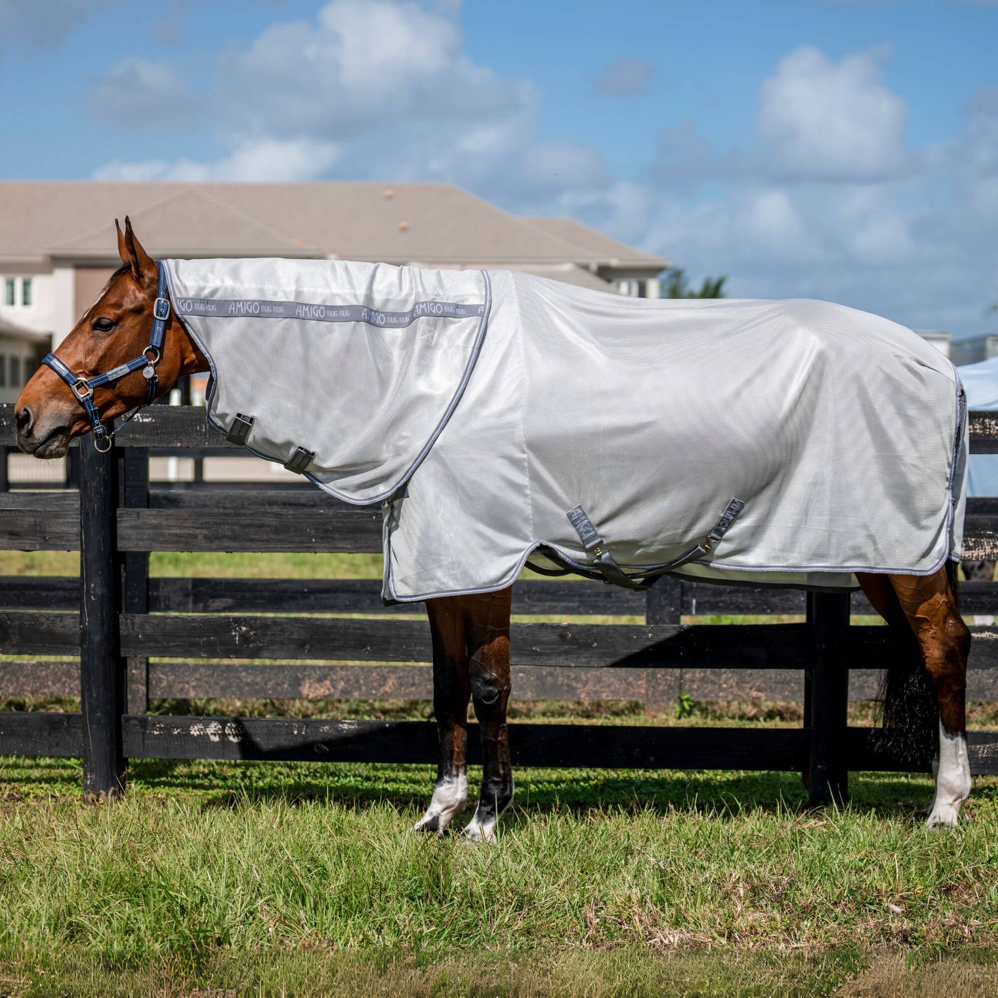 Amigo Bug Rug Plus - Silver, Horseware