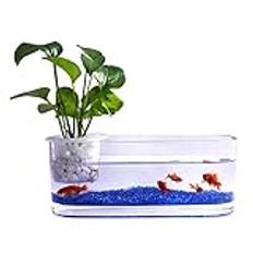 Akvarium fisk tank Kreativt glas Transparent akvarium i glas Hydroponisk vas Kontor Skrivbordsdekoration Liten akvarium Vattenväxttank Akvariumtank