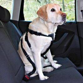 Dog seat belt - Friends on tour - Size XS - Length 20/50 cm - Black