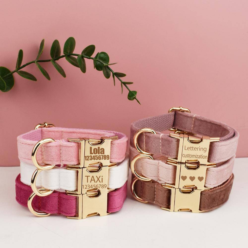 Sammetkrage Gratis Gravyr Hundhalsband Koppling För Mellanstora Stora Husdjur Halsband Hundtillbehör Hundhalsband