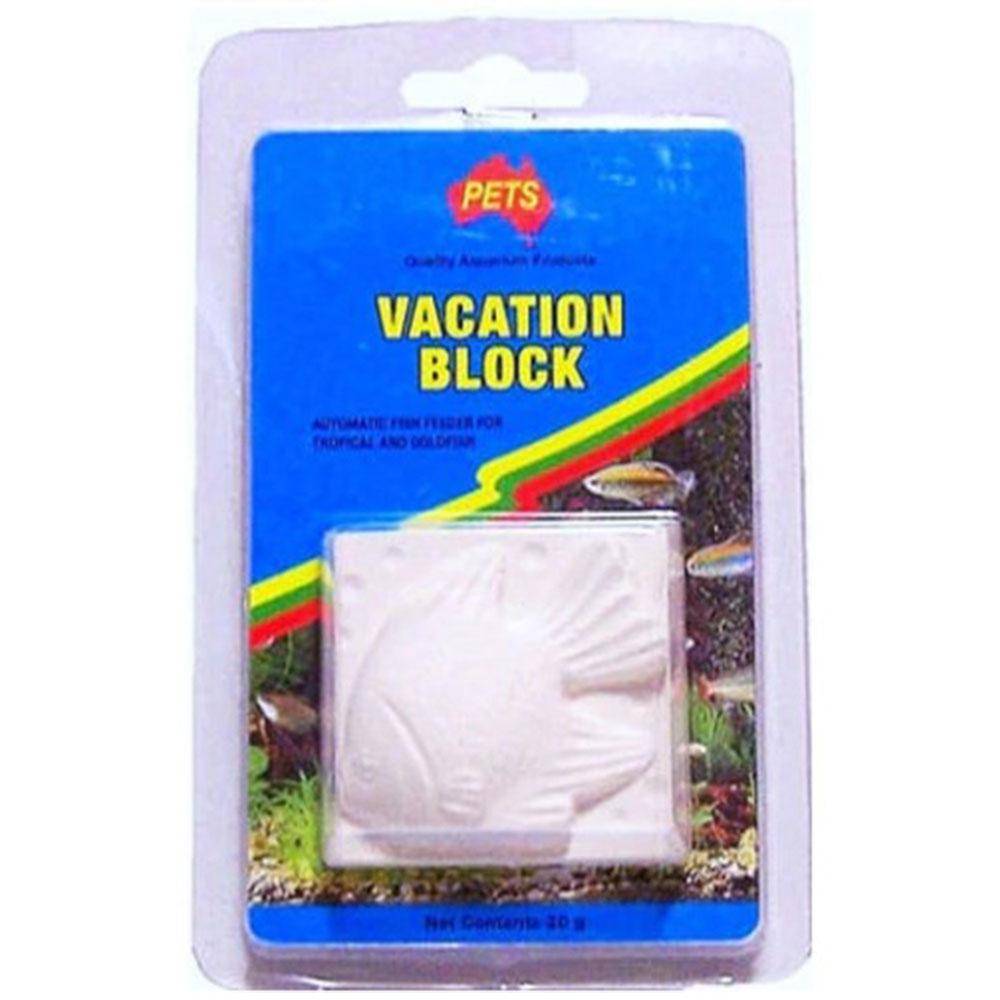Aquarium Vacation Block