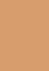 REVOLUTION PRECISE BROW PENCIL - Ögonbrynspenna - cool medium brown
