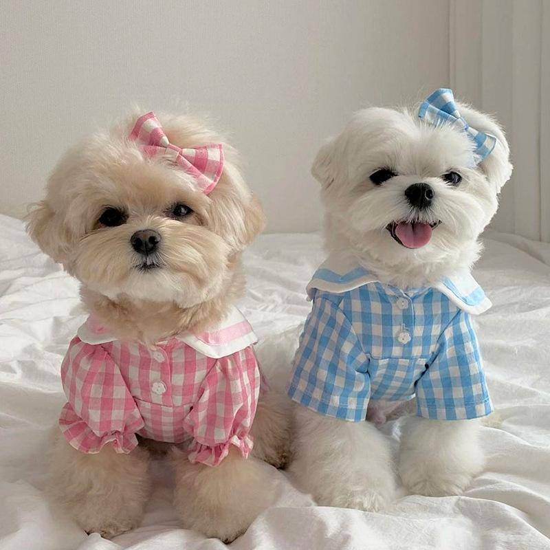 Kläder för husdjurspar Höst Teddykjol Bichon Frisé Pomeranian Yorkshire Liten Valp Pudel Katt Hundkläder