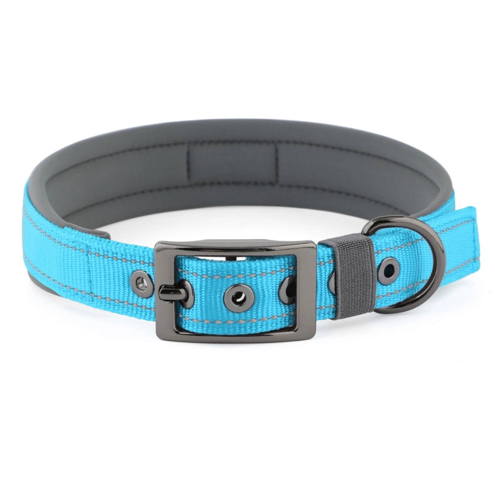 Neoprene Padded Reflective Dog Collar with Metal Buckle - Sky Blue / L / SP