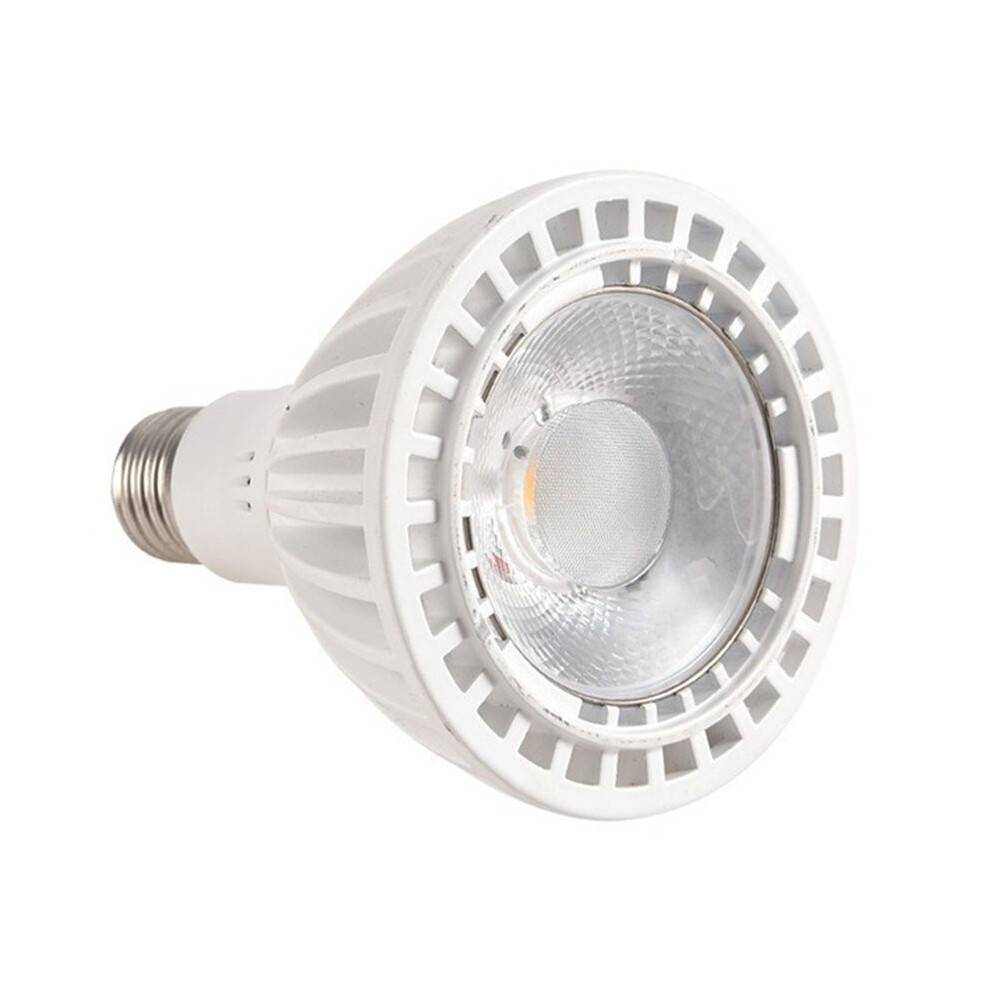 PAR30 LED Spotlight Bulb 30W Warm White for Downlight