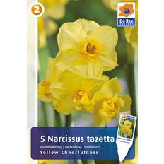 DeRee Narcis Yellow Cheerfullness