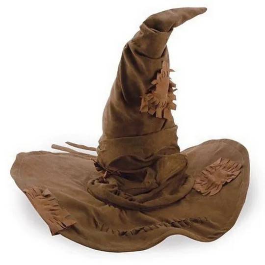 Harry Potter Sorting hat Harry Potter Fastelavn og udklædning til