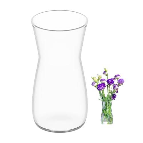 Blomvas i glas, klar glasvas, 20 cm hög Glasvas för bordsdekoration, dekorativ vas för pampasgräs, tulpaner, orkidéer, rosor, torkade blommor