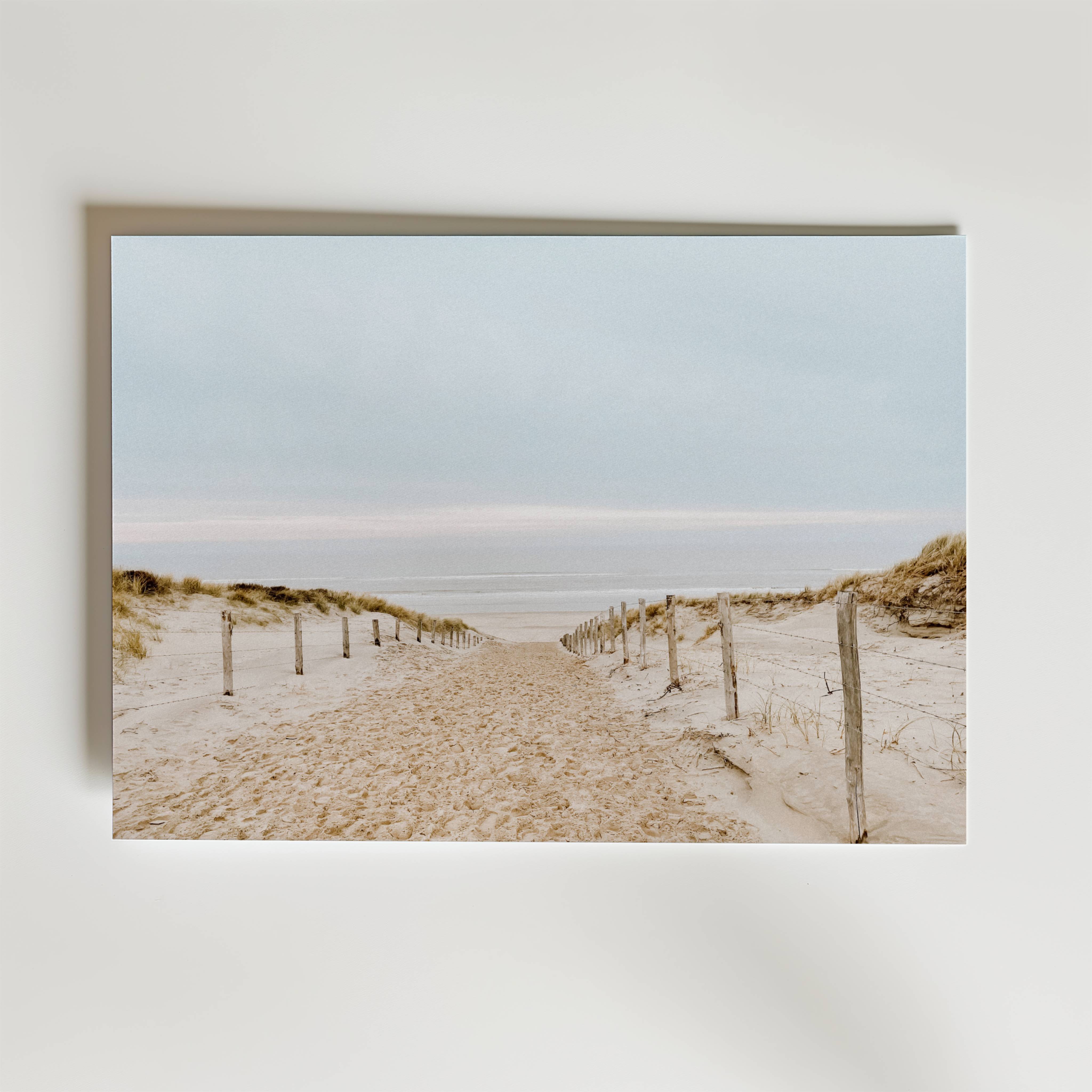 Soft Dune Pathway Poster - Premium Canvas 100x140 cm