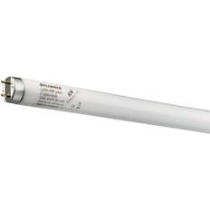 T8 Luxline Plus 18W 830/3000K Varmvit 600mm G13