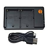 DSTE NP-F batteri USB dubbel snabbladdare (npf batteriladdare) kompatibel med NP-F550 NP-F750 NP-F770 NP-F930 NP-F950 NP-F960 NP-F970 NP-FM50 NP-FM55H NP-FM500H