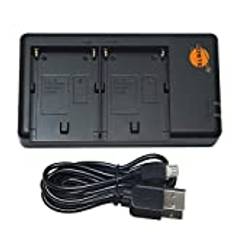 DSTE NP-F batteri USB dubbel snabbladdare (npf batteriladdare) kompatibel med NP-F550 NP-F750 NP-F770 NP-F930 NP-F950 NP-F960 NP-F970 NP-FM50 NP-FM55H NP-FM500H