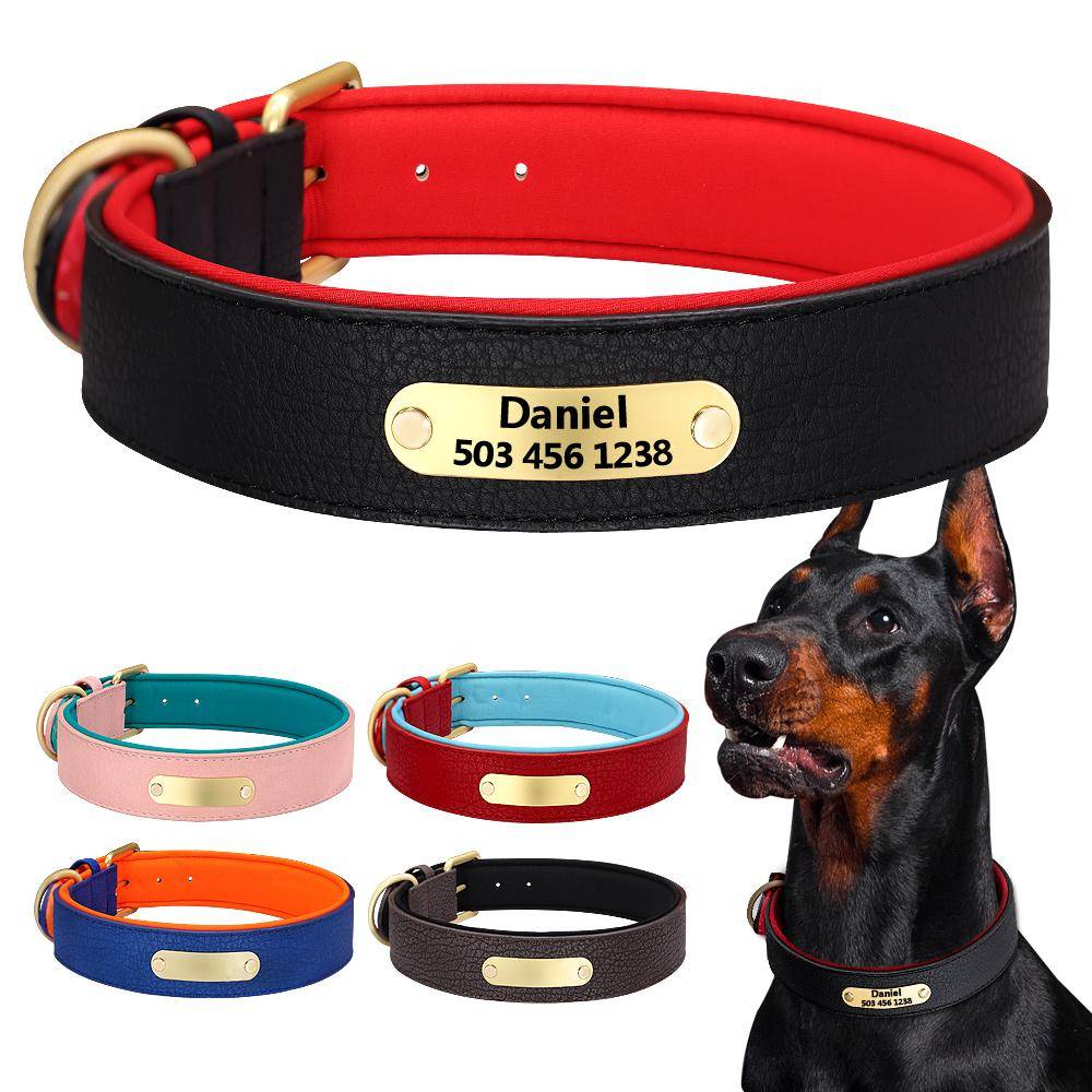 Anpassad graverad Hundhalsband Läder Vadderad Hundhalsband Med Personlig ID-bricka 2 Lager För Små Stora Hundar Pitbull röd