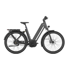 Gazelle Eclipse C380 HMB (Anthracite Grey)