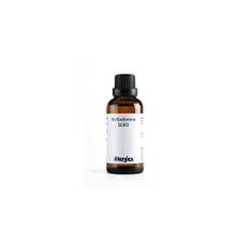 Belladonna D30 - 50 ml - Allergica