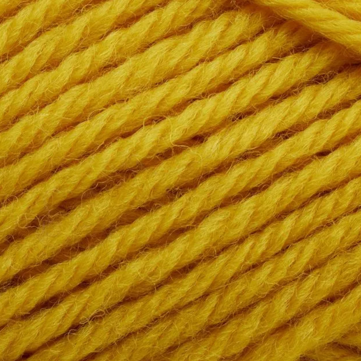 Peruvian Highland Wool │ Filcolana - 223 Sunflower