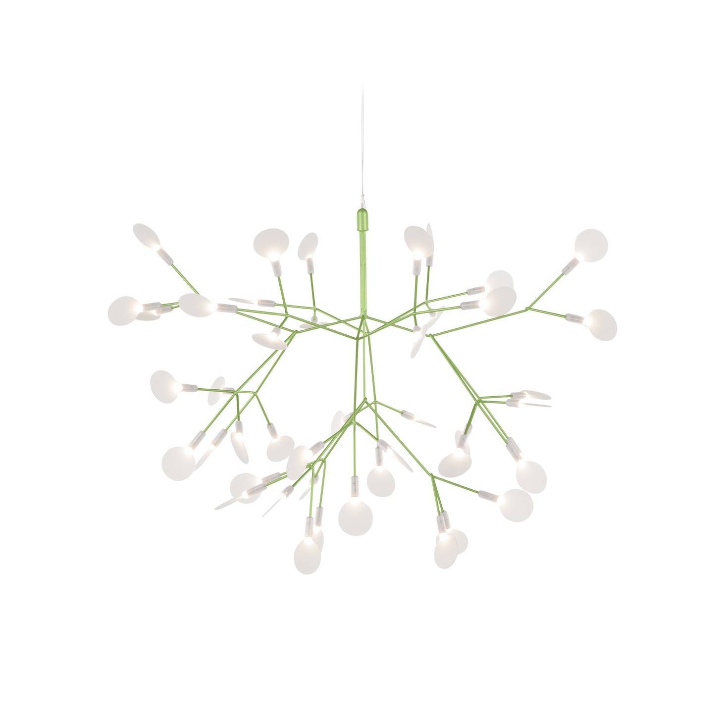 Heracleum III Small - Green
