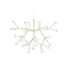 Heracleum III Small - Green