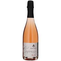 Maison Albert Sounit Caprice - Rosé Brut