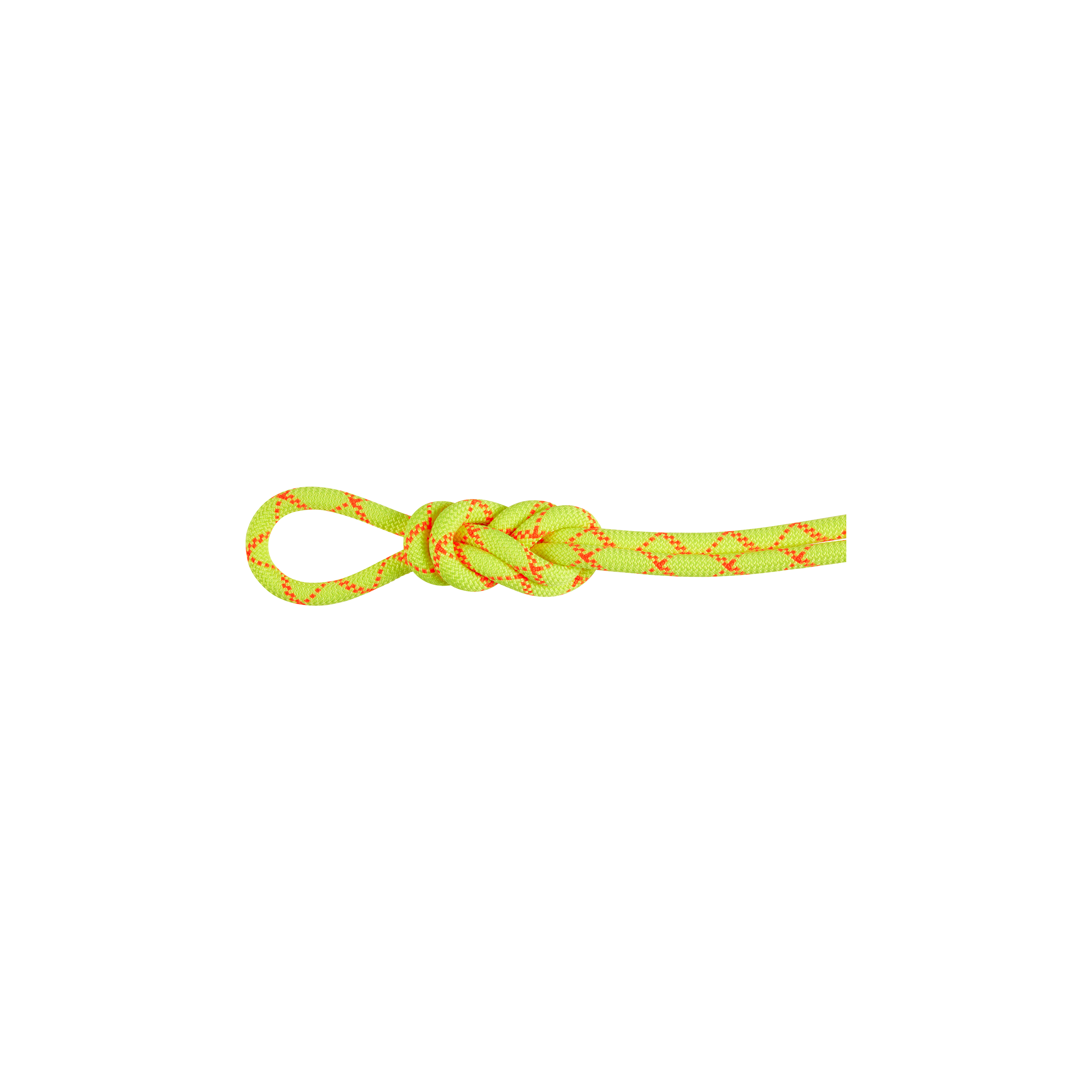 Mammut Impregnated, dynamic single rope with high cut resistance 9.5 Alpine Core Protect Dry Rope 30m 30 m
