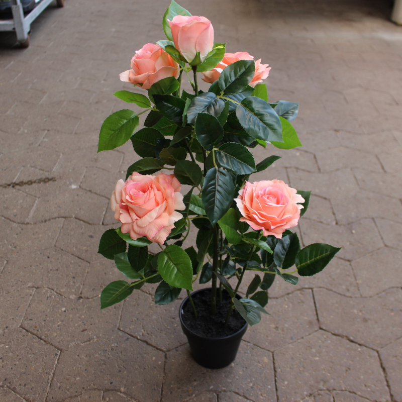 Rose i potte, Ferskenfarvet - Kunstig - H 60 cm