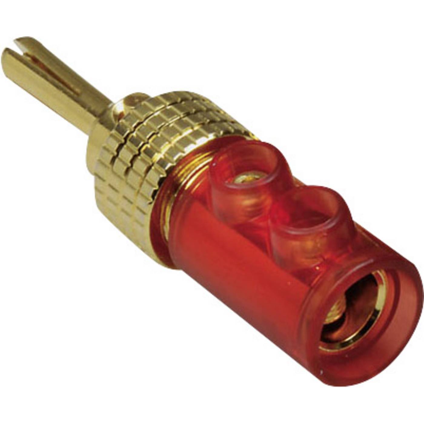 TRU COMPONENTS Banankontakt Kontakt hane rak Stift-Ø: 4 mm Röd 1 st