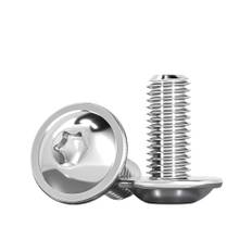 Drenky 20 st M5 x 12 mm platt huvudskruvar med fläns, ISO 7380-2 Torx Skruvar Pan Head Skruvar Flänsskruvar Rostfritt Stål A2 V2A Helt Gängade Med Bricka