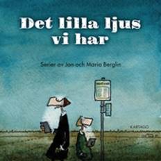 Det lilla ljus vi har