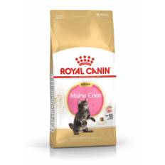 Royal Canin Maine Coon Kitten. Til Killinger op til 15 m�neder