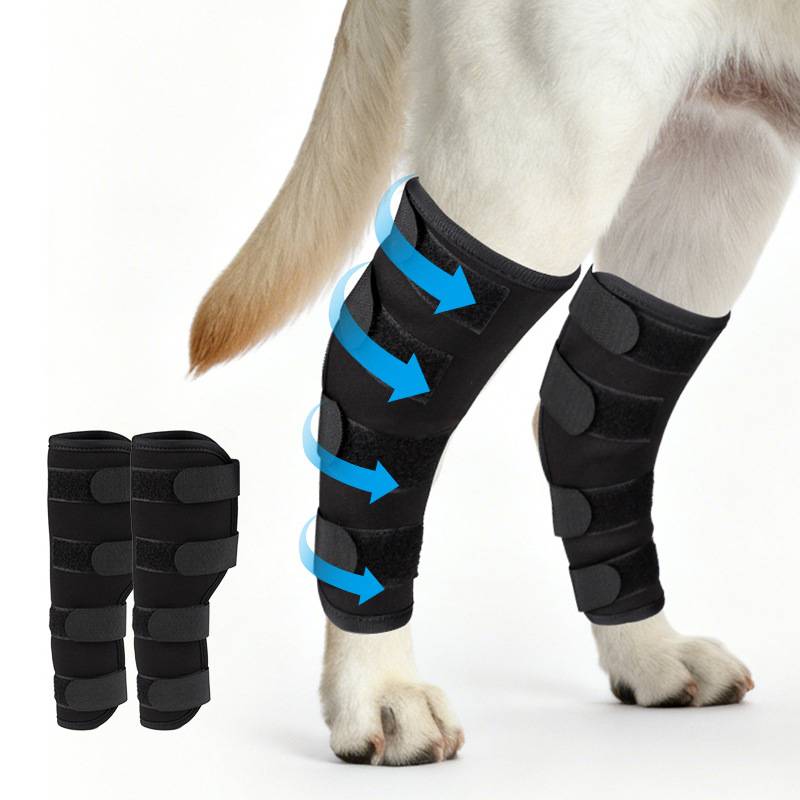 2pcs Pet Leg Sleeves For Dogs, Adjustable Strap Design, Breathable Pet Leg Covers, Lightweight Wear For Small Medium Large Dogs, Suitable For Daily Walking