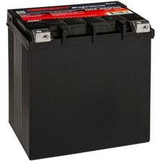Odyssey ODSAGM30L AGM MC Batteri 12V 30Ah