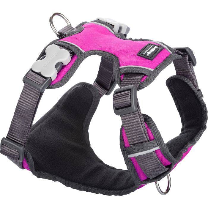 Dog Harness - RED DINGO - Pink - Padded - 4 Adjusters - Reflective Stripes