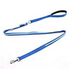 HIOD LED hundkoppel litet hundkoppel LED hundkoppel för hundpromenad på natten, USB-laddning hundkedja, blå, L