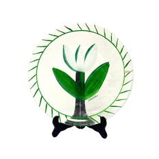 Kosta Boda - Tulipa - Stort Fat Vit tulpan Design Ulrica Hydman Vallien