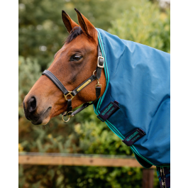 Rhino Turnout Hood (Hals)/ 0G från Horseware