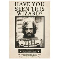 Harry Potter - Sirius Black Plakat (50x70 cm) - Harry Potter